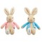 Peter Rabbit/Flopsy Bunny Bean Rattle