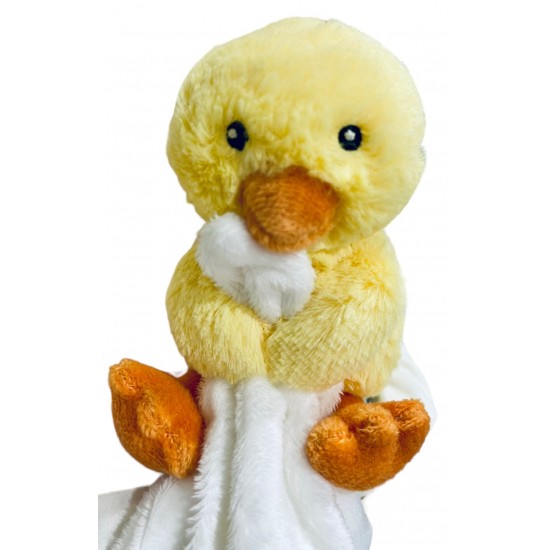 Baby Gift Bath Time Duck Hamper